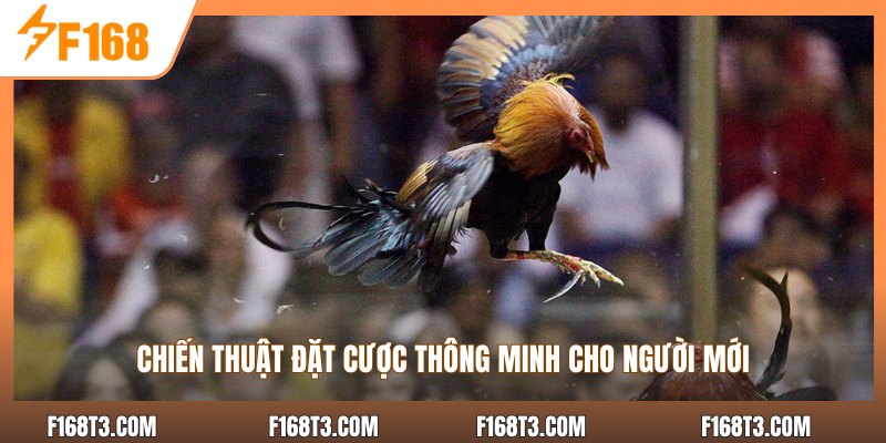 Chiến thuật đặt cược thông minh cho người mới