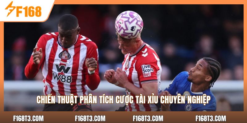 Chiến thuật phân tích cược tài xỉu chuyên nghiệp